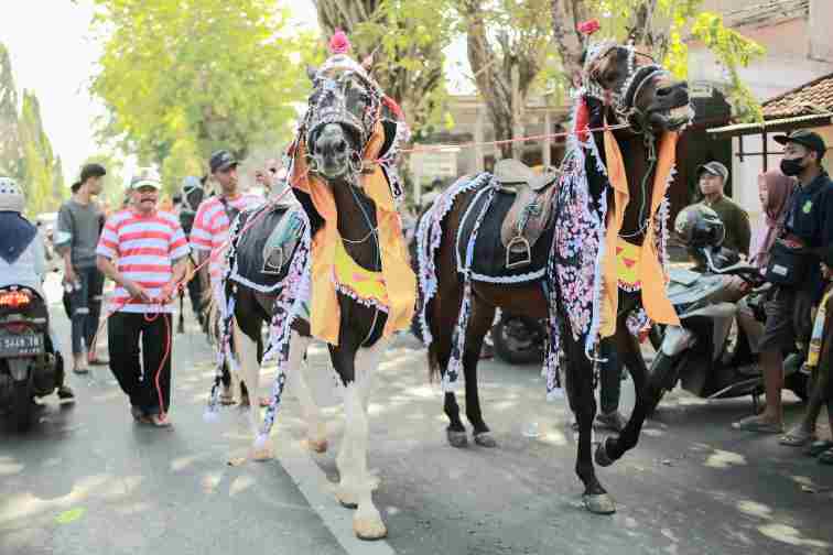 Festival Jaran Serek Sumenep Calendar Of Event 2024 Dapat Antusias Masyarakat