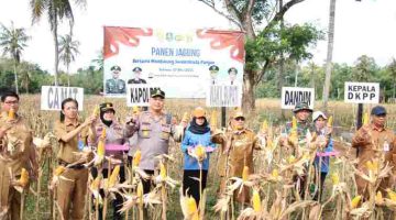 Pemkab dan TNI-POLRI di Sumenep Konsisten Dukung Program Swasembada Pangan