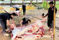 PT Empat Sekawan Mulya Pamekasan Berkurban 12 Ekor Sapi, Sebagai Wujud Syukur dan Teladani Nabi Ibrahim AS