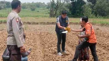 Petani di Sampang Tewas Dianiaya Saat Garap Sawah, Pelaku Ditangkap Polisi