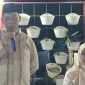 Program Lelang Tani, Cara Kolaborasi DKPP Sumenep Bersama Lintas Sektor Perkuat Sektor Pertanian dan Stabilitas Harga