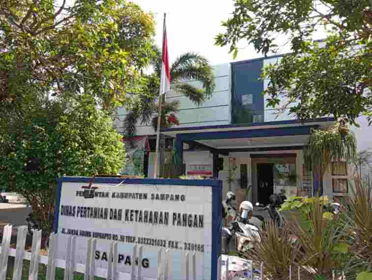 Perketat Pengawasan, 60 Petugas Diterjunkan Pantau Hewan Kurban di Sampang