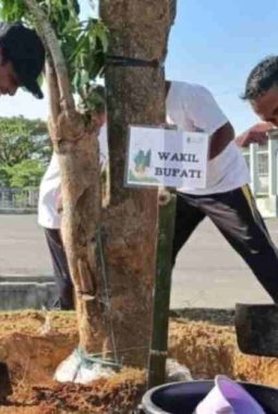 Peringati Hari Lingkungan Hidup, Pemkab Pamekasan Gandeng Medco Tanam 370 Pohon di SGMRP