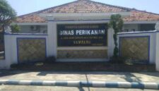 Dukung Sektor Perikanan 2026, Diskan Sampang Alokasikan Ratusan Juta untuk Bantuan Kelompok Budidaya