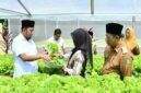 Bupati Sumenep Dorong Pertanian Modern Berbasis Teknologi untuk Perkuat Ketahanan Pangan
