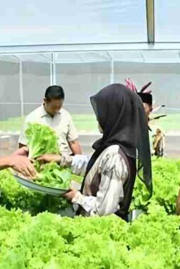 Bupati Sumenep Dorong Pertanian Modern Berbasis Teknologi untuk Perkuat Ketahanan Pangan