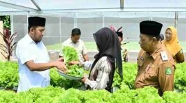 Bupati Sumenep Dorong Pertanian Modern Berbasis Teknologi untuk Perkuat Ketahanan Pangan