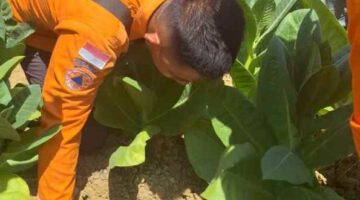 BPBD Sampang Cek Sawah Warga yang Mengeluarkan Bunyi Gemuruh