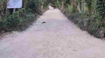 Efisiensi Anggaran Tak Surutkan Komitmen Kades Harno Menata Desa Batuputih Daya, Jalan Dusun Juseraja Kini Mulus
